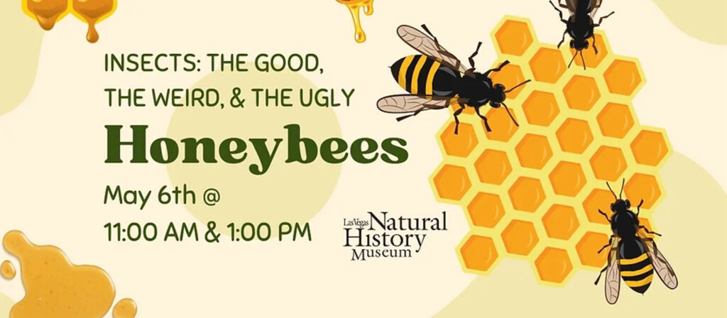 Insects The Good the Weird and the Ugly Honeybees banner