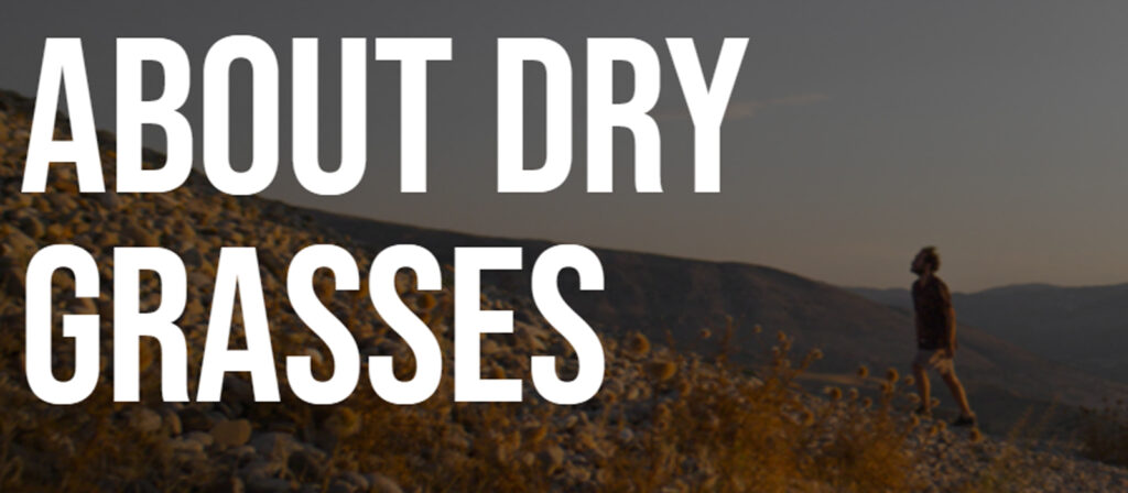 About Dry Grasses banner