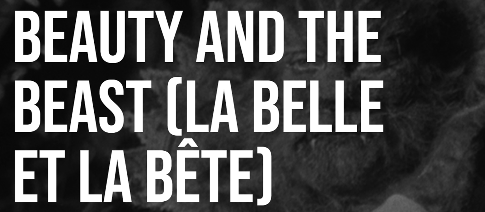 zBeauty and the Beast La Belle et la Bete banner