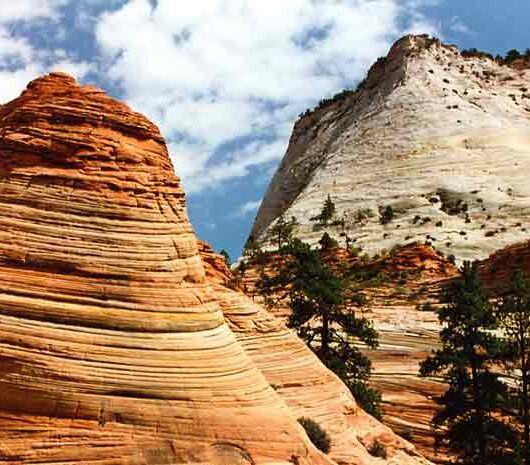 Zion National Park Tour