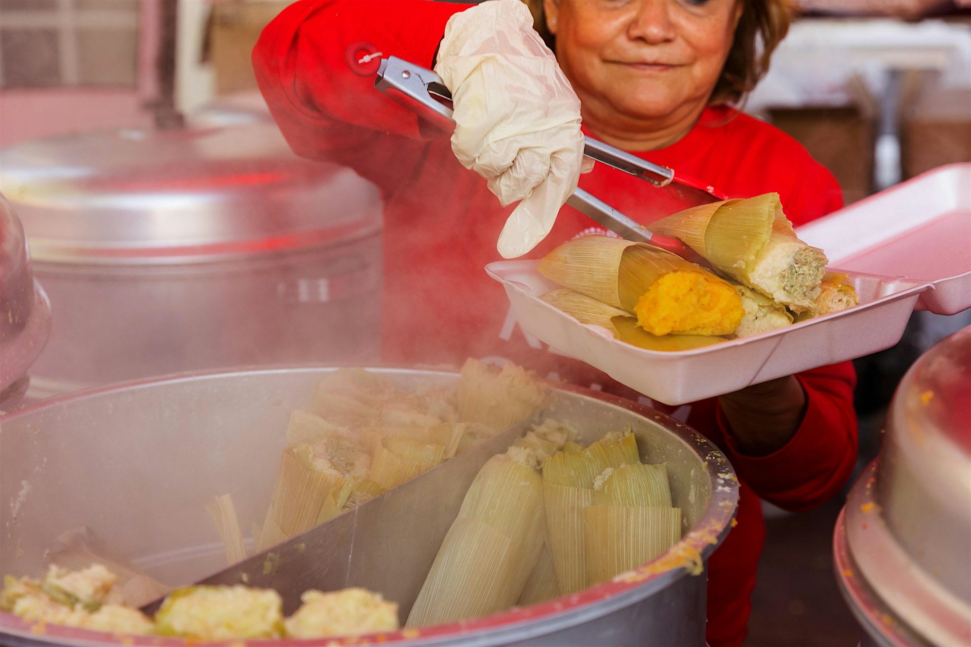 Tamales & Mariachi Festival 1