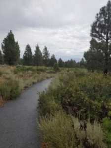 Footsteps into Story: How Travel and Hiking Inspire Writing 1