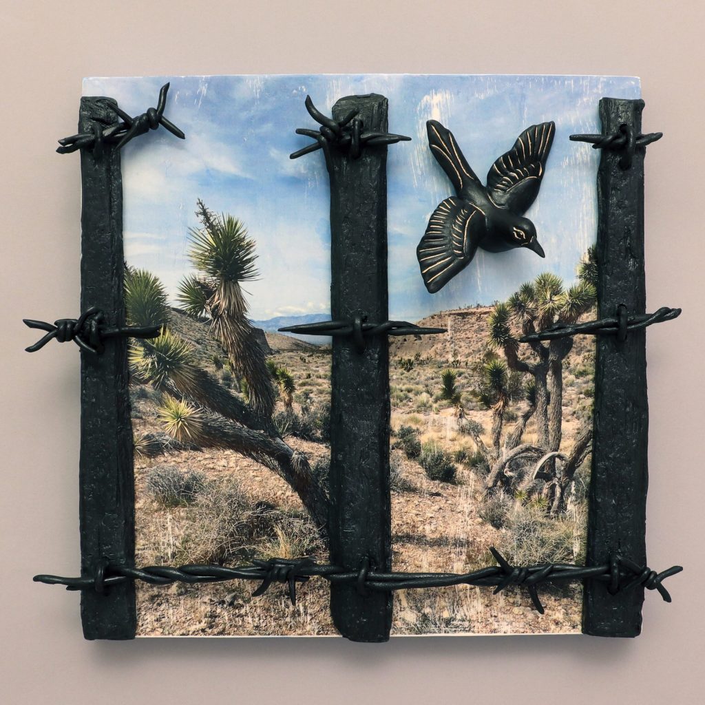 Beyond the Fence: Artwork by Robin Stark 4
