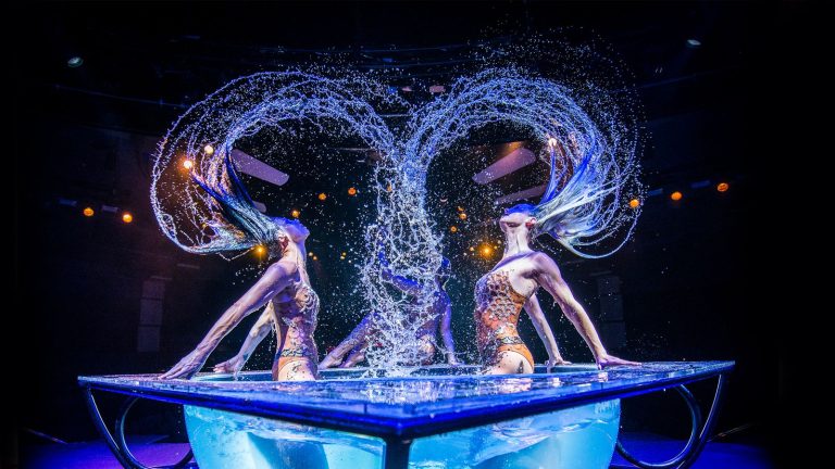 WOW – THE VEGAS SPECTACULAR